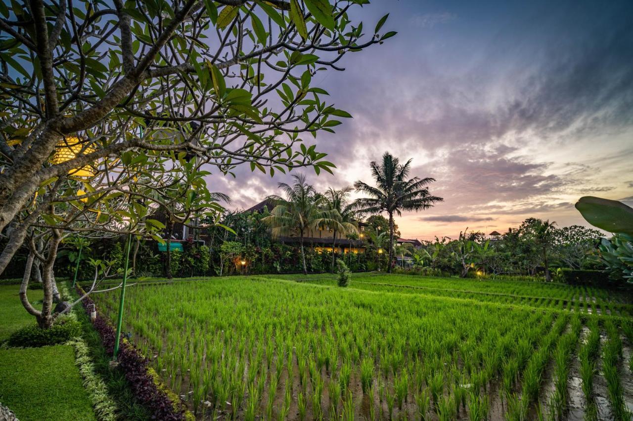 विला Bliss Luxury Ubud (Bali)