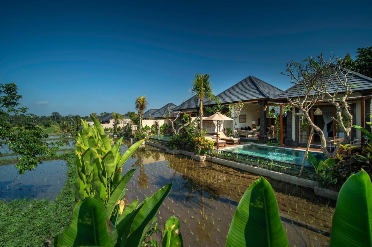 विला Bliss Luxury Ubud (Bali)